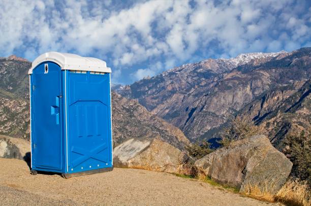 Best Affordable portable toilet rental  in Mount Vernon, IN